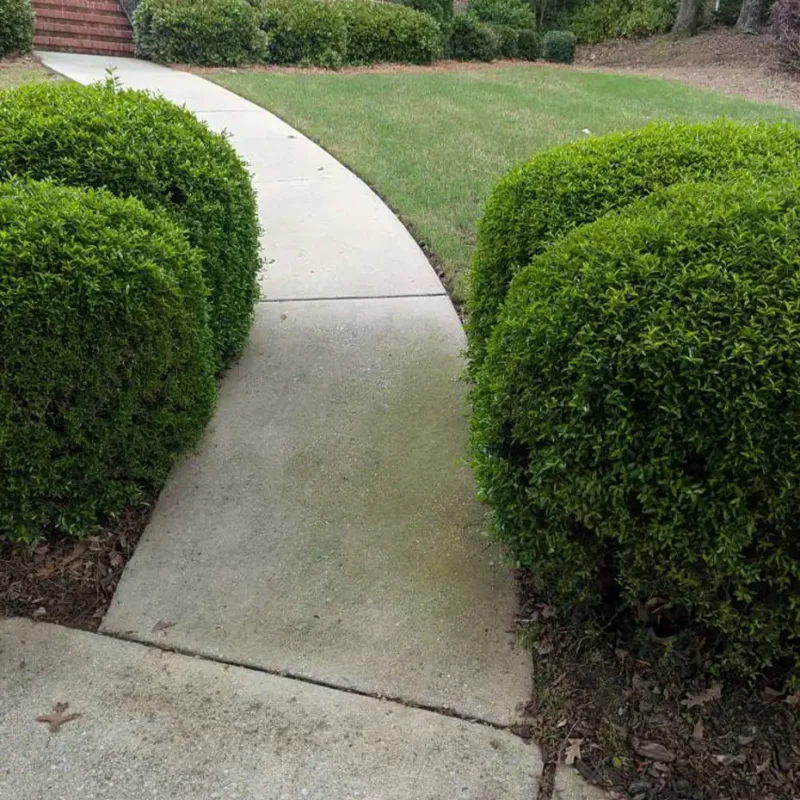 Driveway cleaning in Birmingham, AL